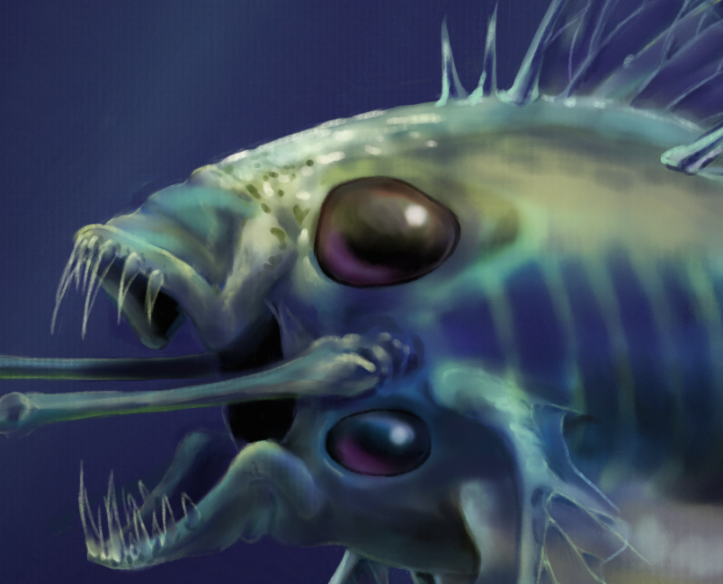 Furahan Biology and Allied Matters 2017