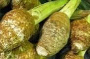 Talas Cara Pengolahan Bahan Pangan Serealia dan Umbi