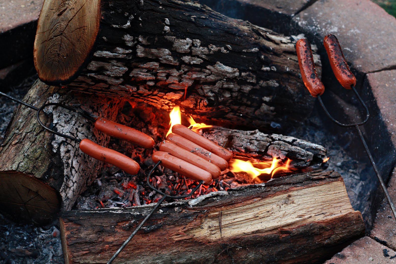 Hopeful Hot Dog Roast
