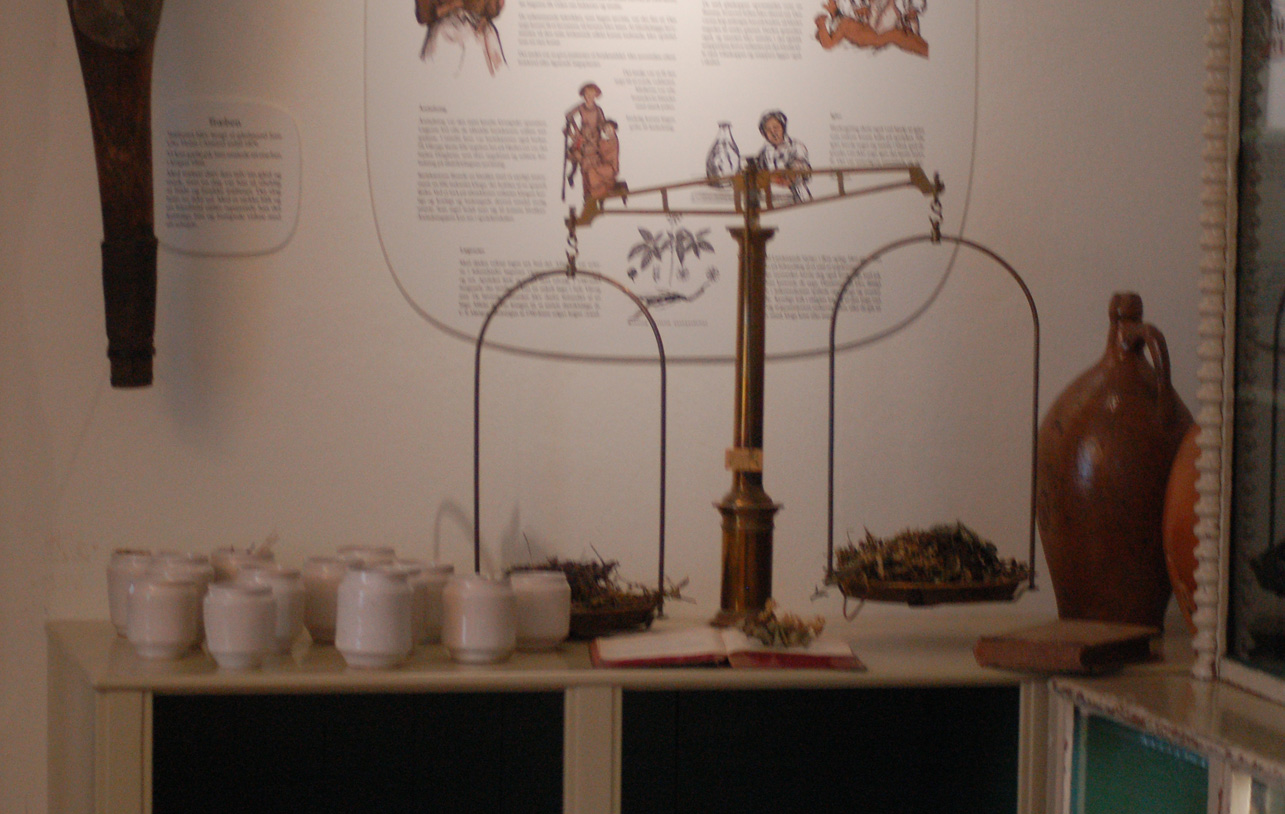 Thyra Common Poppy/ Korn Valmue and other poppyspecies.