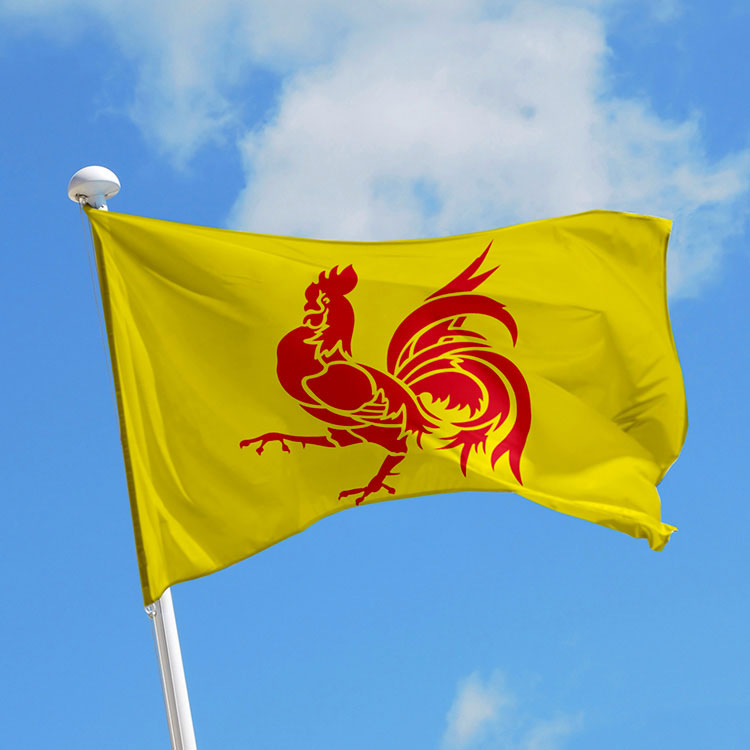 Уганда страна герб. Флаг штата северная дакота. Флаг сша с белоголовым орланом. Белоголовый орлан сша. Мексика флаг и герб.