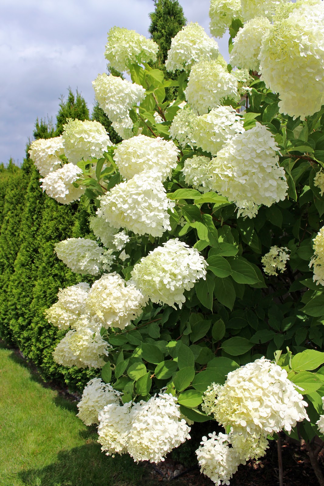 Nine Sixteen Patio Garden Inspiration White Green