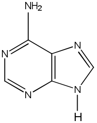 molekul atom N molekul atom N