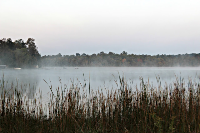 Early morning mist