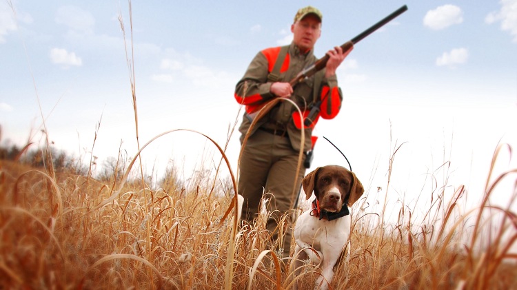 Hunting Dog Training Collars Hunting Dog Training Collars