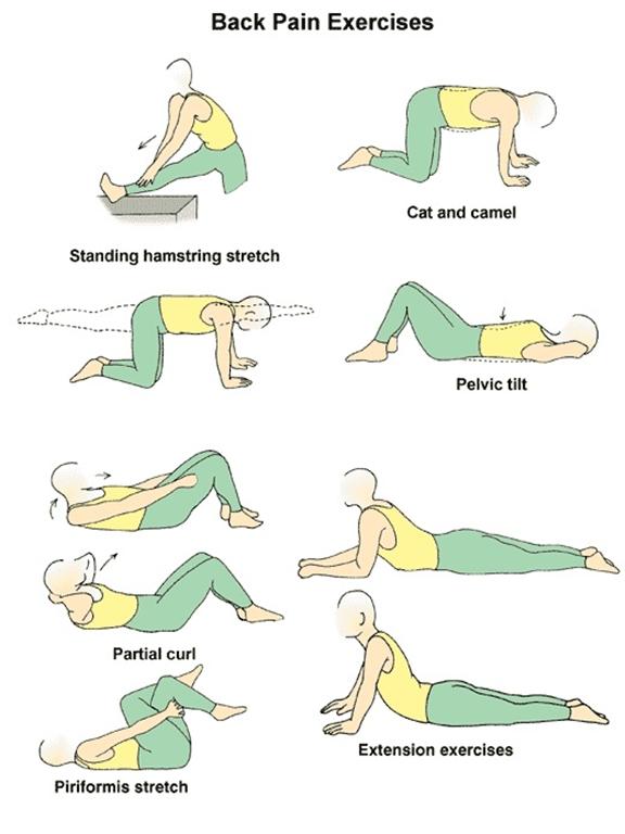 Back Pain Relief In Late Pregnancy Uk Pinched Nerve In Neck Pain In 
