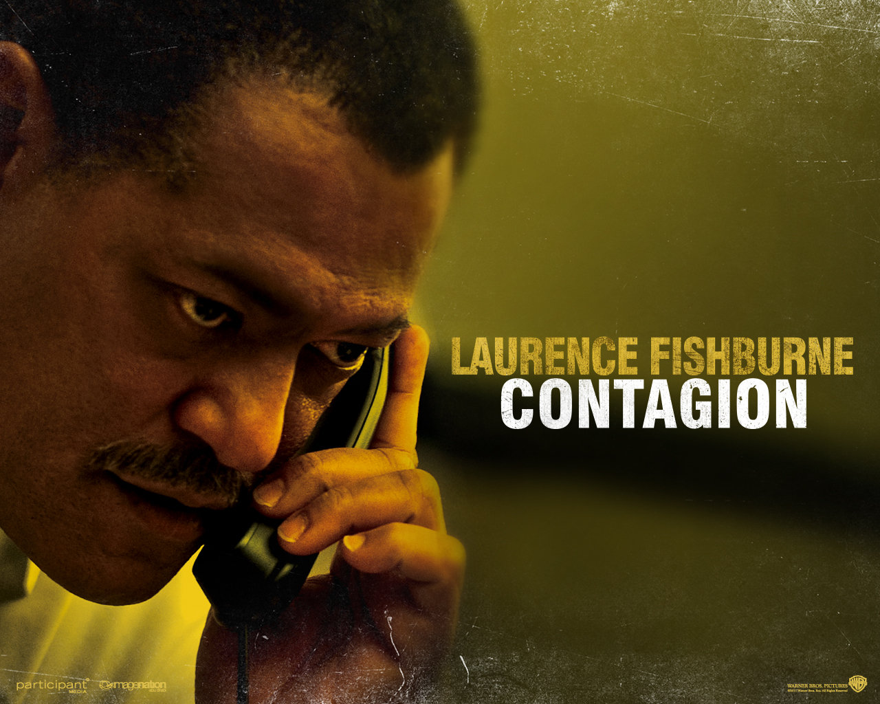 Cat Love laurence fishburne wallpaper