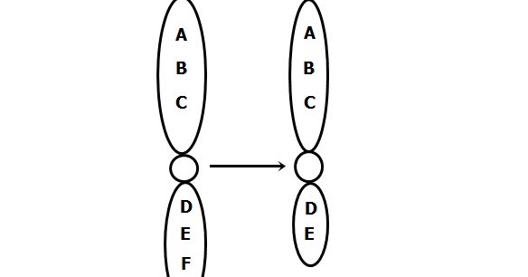 Perhatikan bagan berikut! Jenis mutasi yang terjadi pada