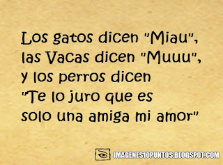 frases ironicas frases ironicas