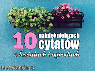 cytaty i sentencje  o kwiatach i ogrodach