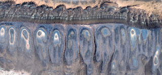 Allegory of Peacock killed by friendly fire in the African desert, photography of abstract landscapes of deserts of Africa from the air, Abstract Naturalism collection of Munimara, Allegory of Peacock killed by friendly fire in the African desert, photography of abstract landscapes of deserts of Africa from the air,