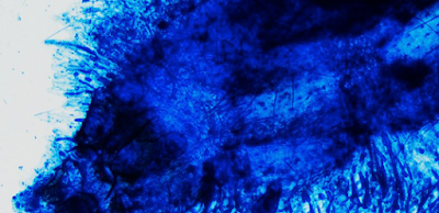 AZUL DE METILENO AZUL DE METILENO