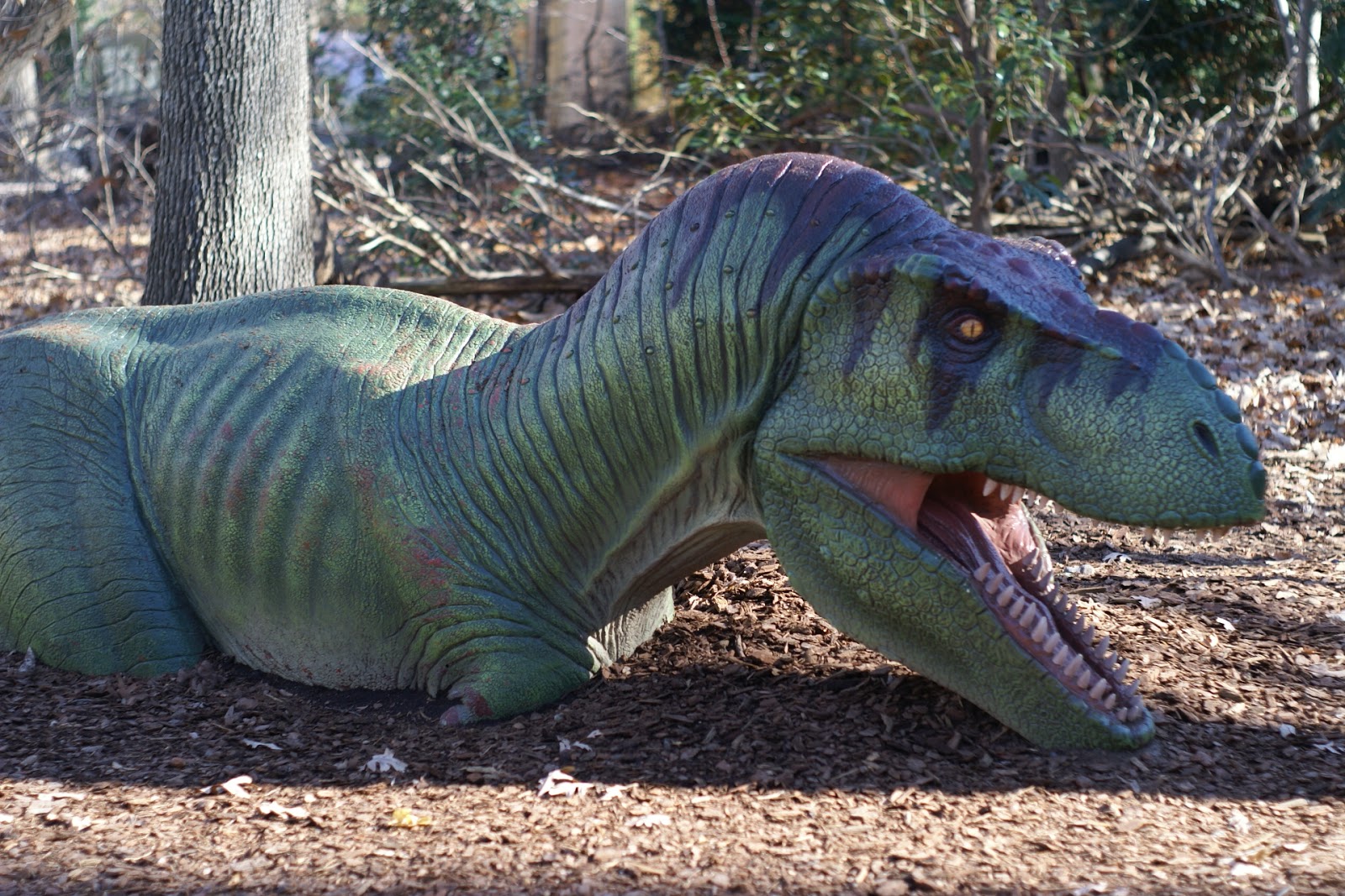 krasta dino zoo