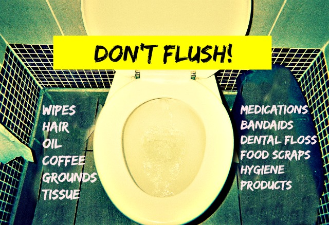 Things You Should Never Flush Down the Toilet: