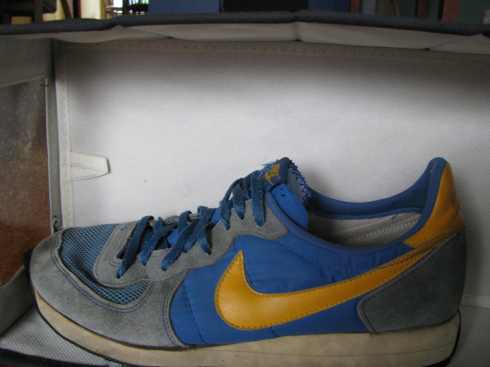 vintage nike internationalist
