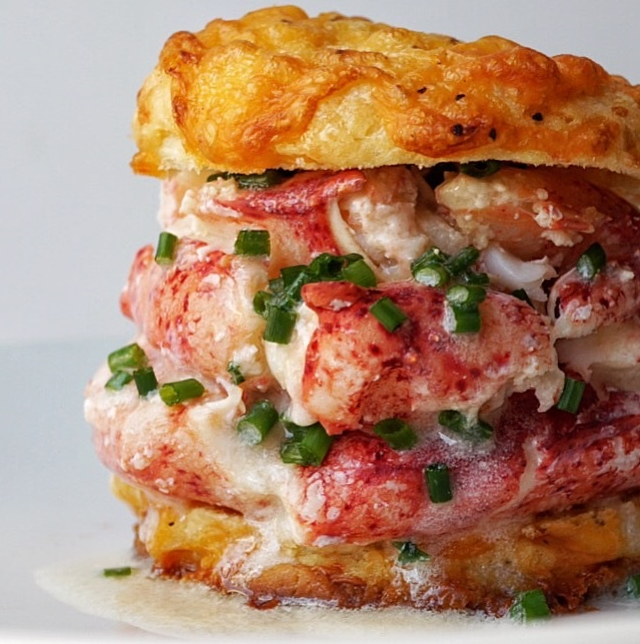 Cheddar Cheese Biscuit Lobster Sandwich Healthy Resepes Daugherty