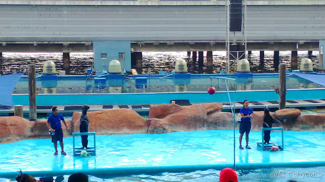 Sea Lion Show; Manila Ocean Park; Getaway to Manila; Philippines