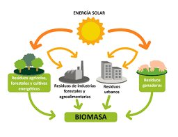 proyectos de energia biomasa