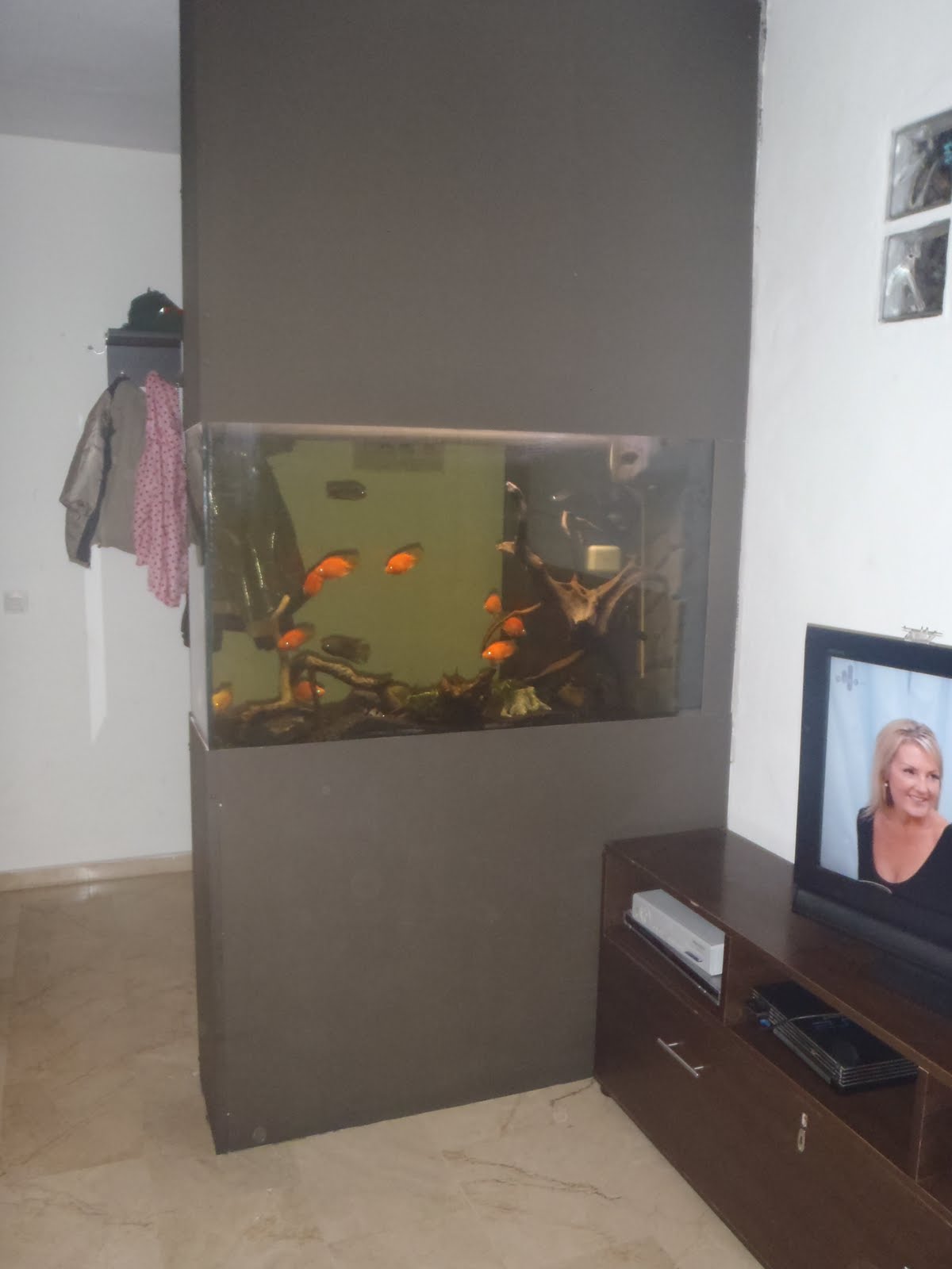 The Fish Factory Spain Aquarium Room Divider