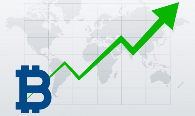 0 001 Btc In Usd u00e2 How A High Yield Investment Program Hyip Works