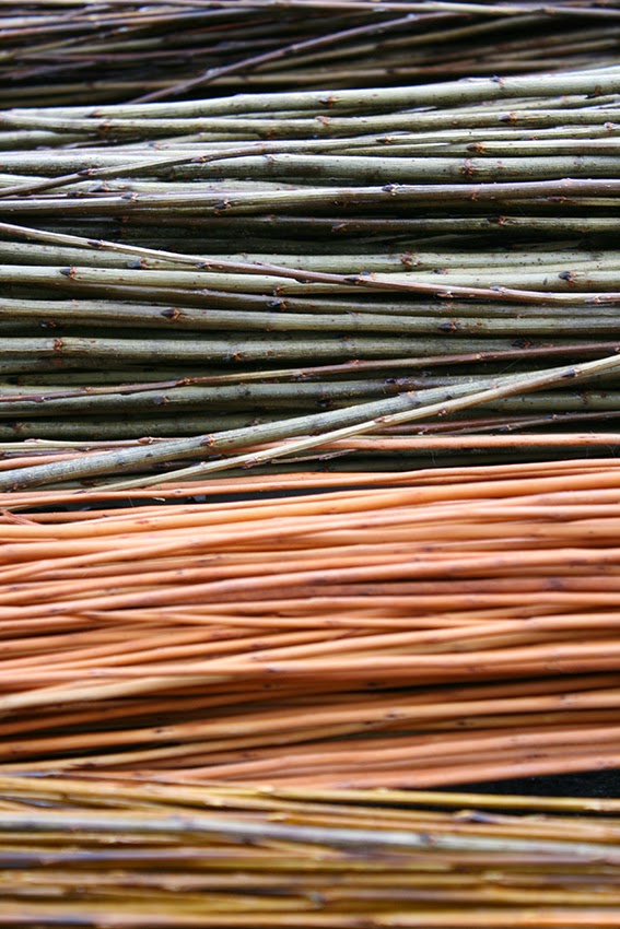 Wye Valley AONB mindSCAPE Willow Weaving