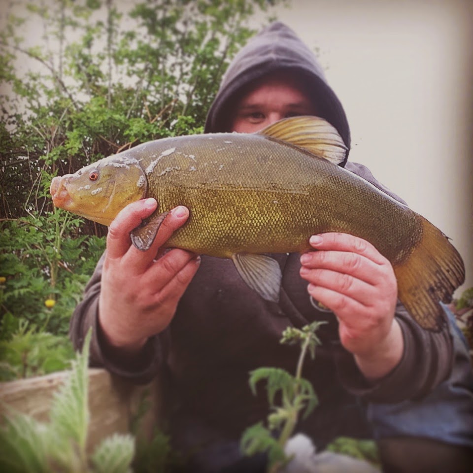 Danny's Angling Blog Baits For Canal Fishing and Tench On The Bridgewater