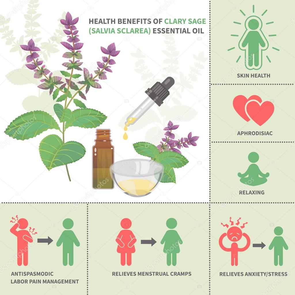 help autoimmune Clary Sage benefits for chronic conditions