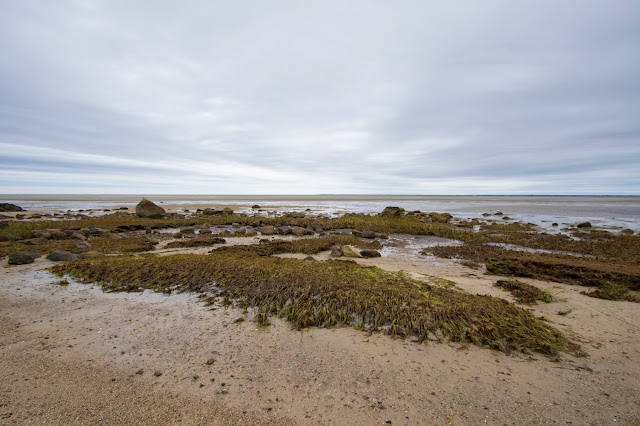 Point of rocks landing beach e Skaket beach-Cape Cod