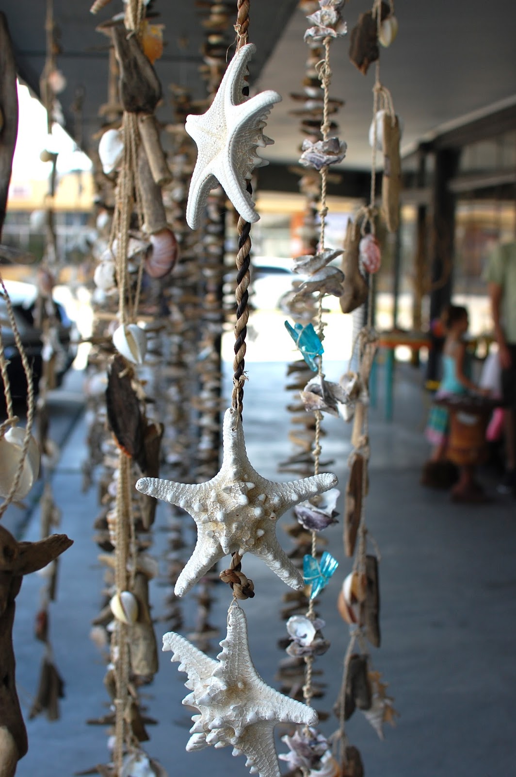 The Redolent Mermaid Anna Maria Island Sand Dollar Gift Shop