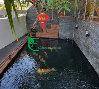TUKANG KOLAM IKAN KOI Jasa pembuatan kolam ikan koi