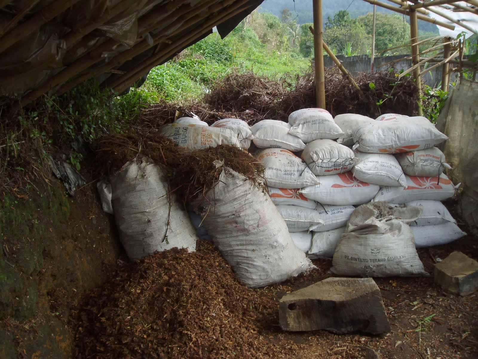 Pengolahan Limbah Cair Pabrik Kelapa Sawit Palm Oil Mill 