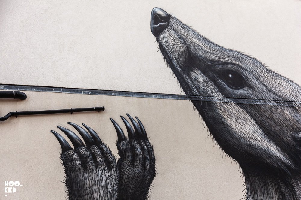 Close-up of Walthamstow mural by Belgian Street Artist ROA Close-up of Walthamstow mural by Belgian Street Artist ROA