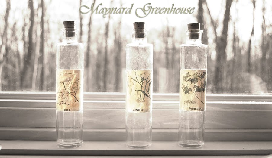 *Maynard Greenhouse My new family