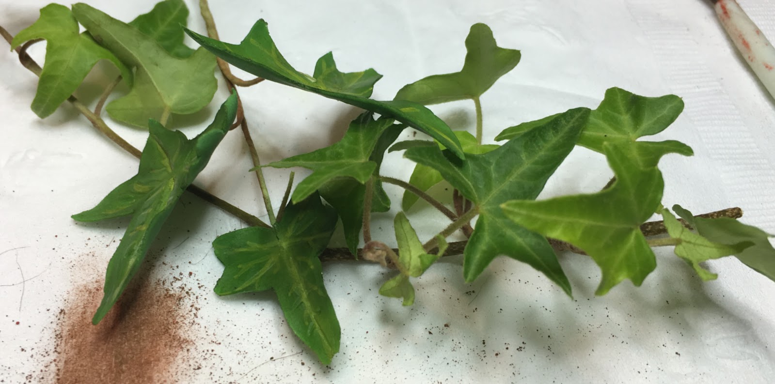 Confectionery Flowers