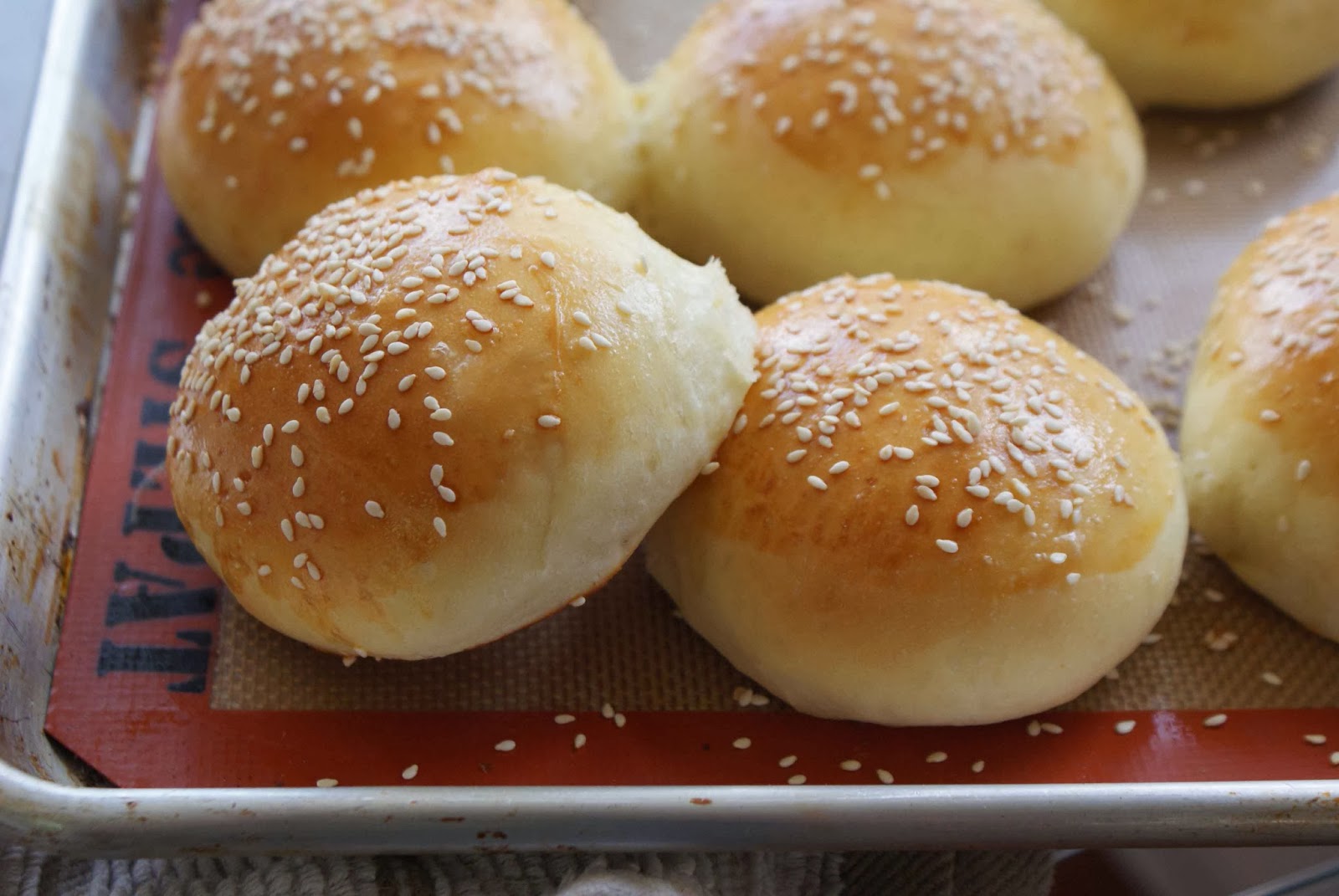 Glutensiz Kolay Börek Tarifi Glutensiz Kolay Börek Tarifi