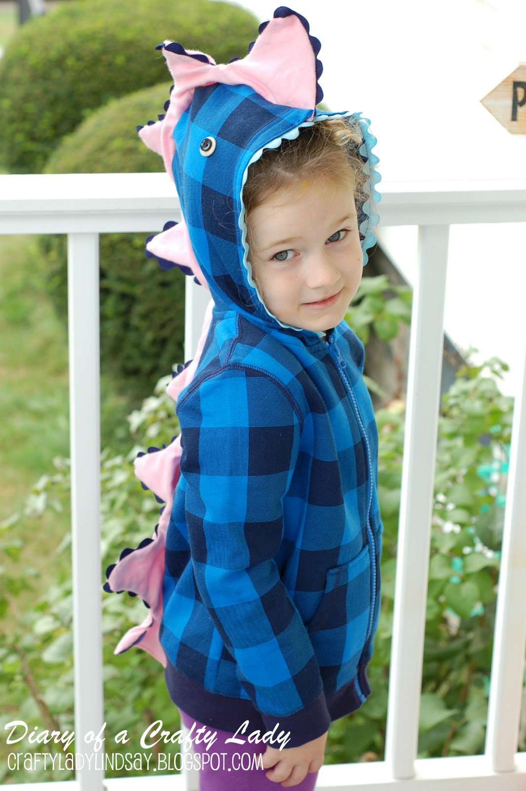 Diary of a Crafty Lady: Dragon Hoodies