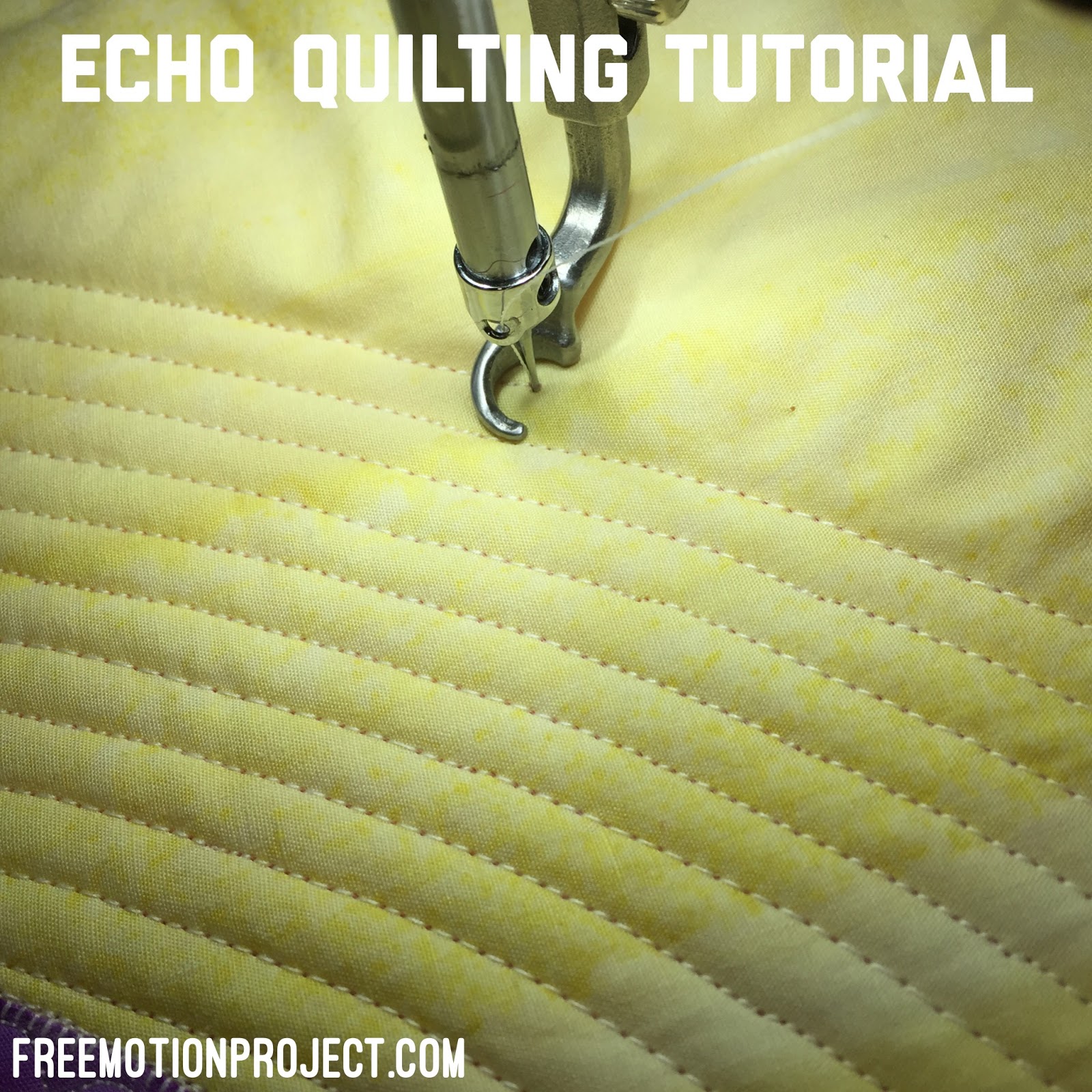 The Free Motion Quilting Project Practice Echoing on the Grace Qnique 14+