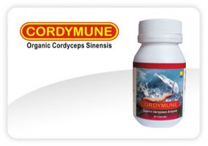  Cordymune Organic Cordyceps 
