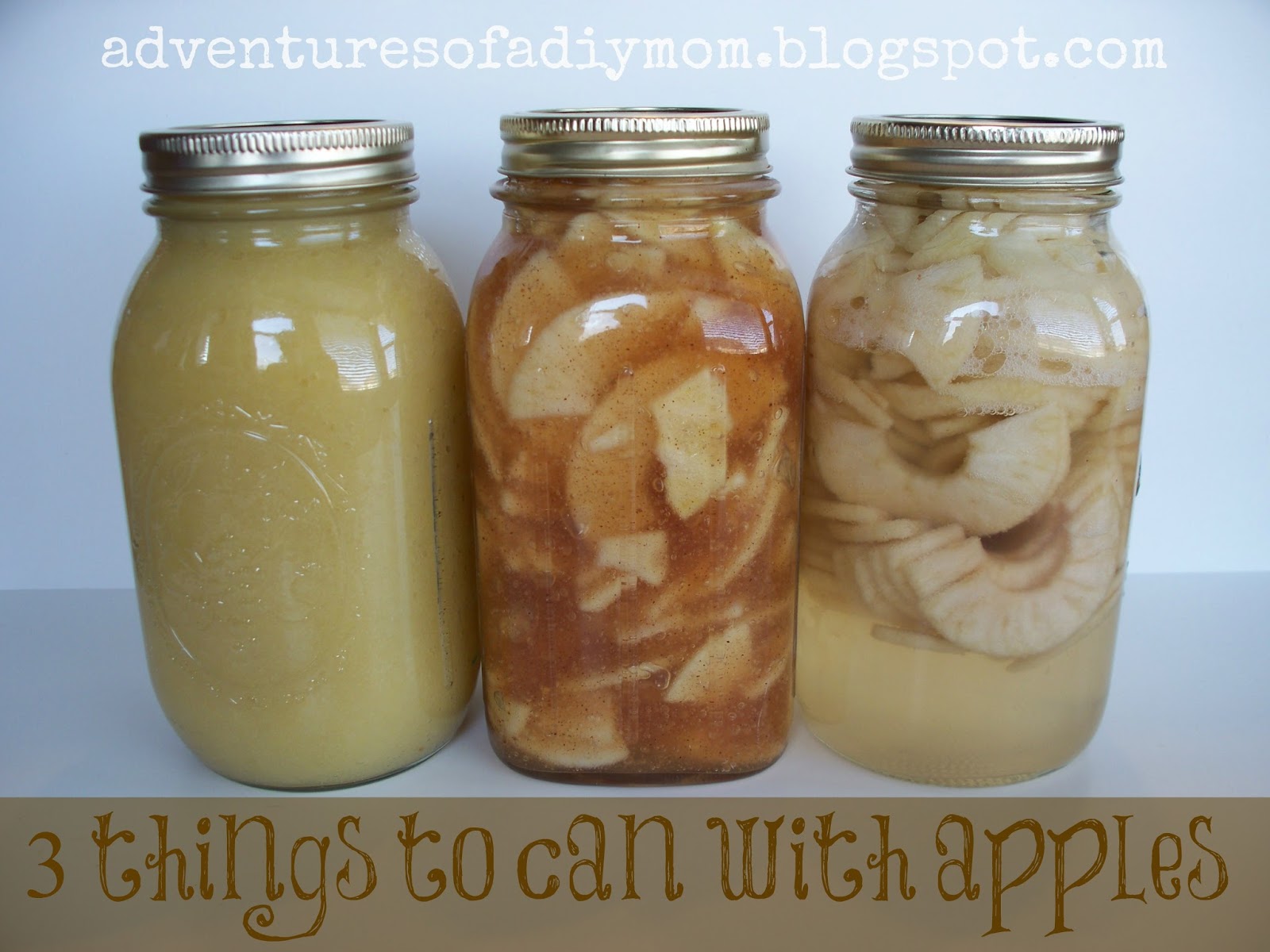 How to Dry Apples in a Dehydrator Adventures of a DIY Mom