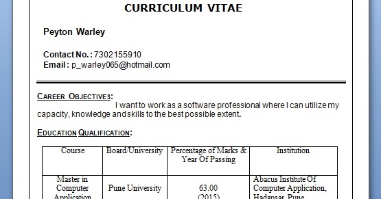 Developer Resume Pattern in Word - Developer%2BResume%2BPattern%2Bin%2BWord%2BFormat%2BFree%2BDownload 