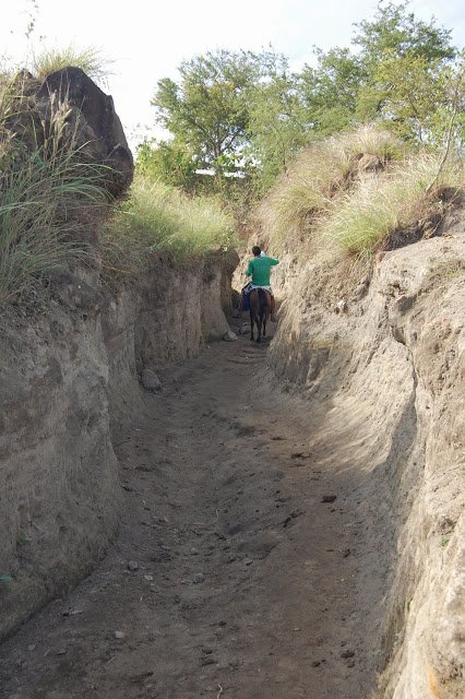 ride a horse on the Spanish trail