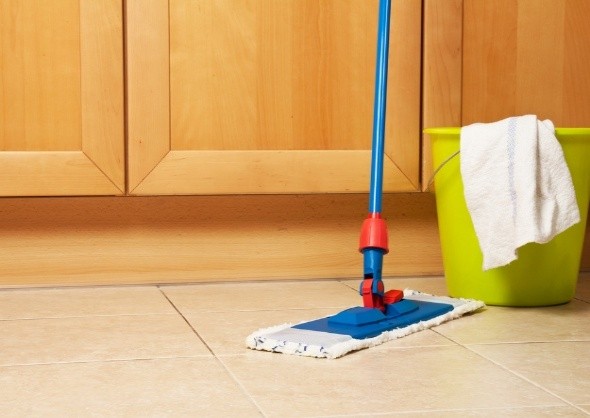 Wopper Dfc Disinfectant Floor Cleaner