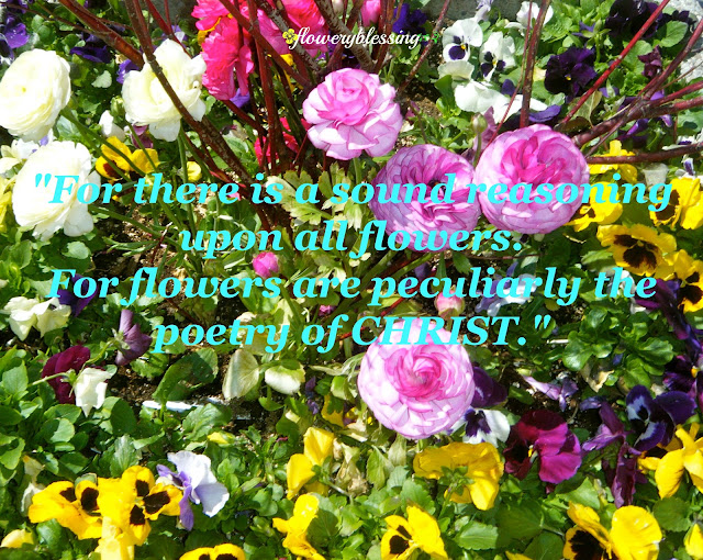 Flowery Blessing For There Is A Sound Reasoning Upon All Flowers For Flowers Are Peculiarly 