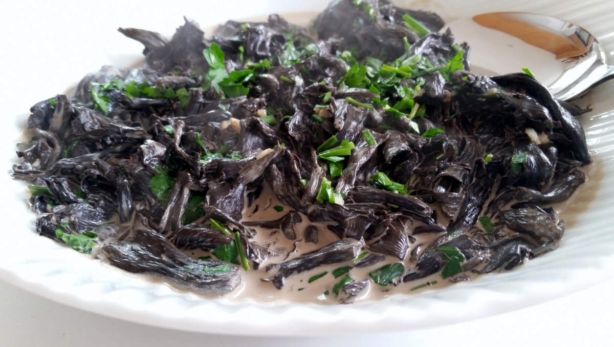 recette trompette de la mort - France News Collections