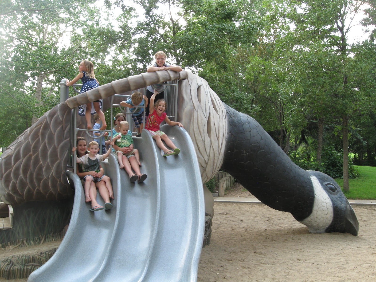 The Burgess Chronicles Candy Cane Park and feeding geese