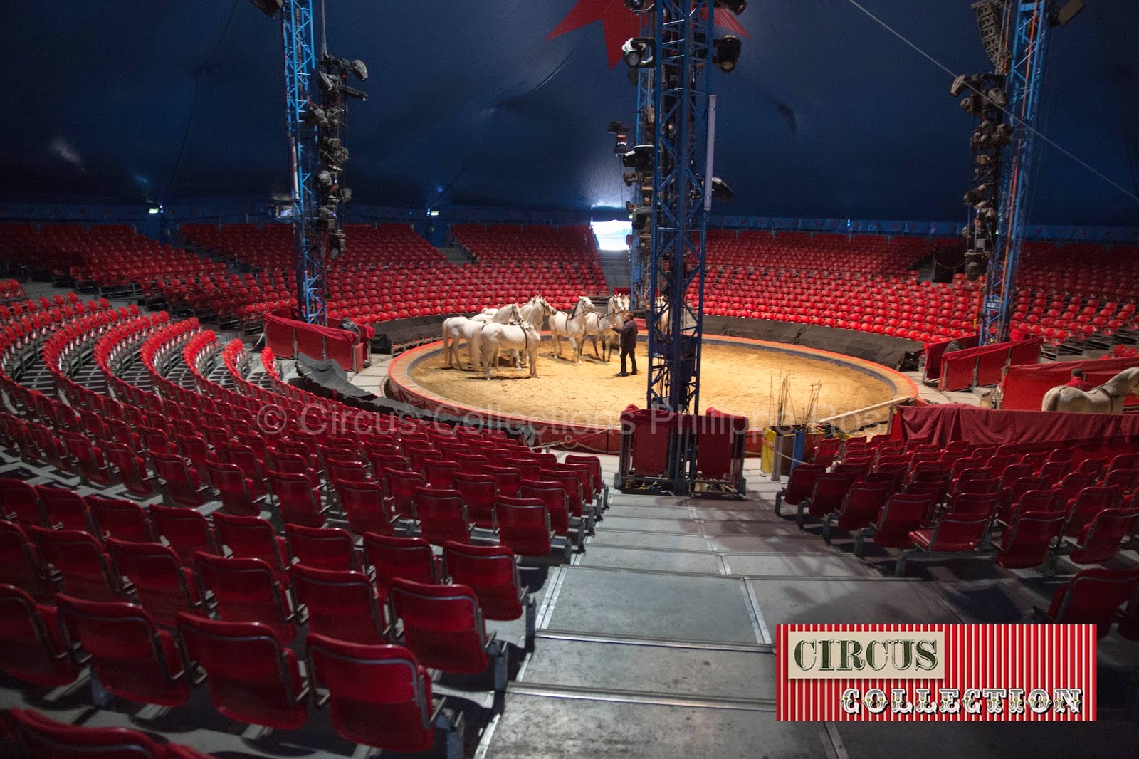 l'intérieur du chapiteau, les gradins et Fredy Knie junior et 9 étalons andalous