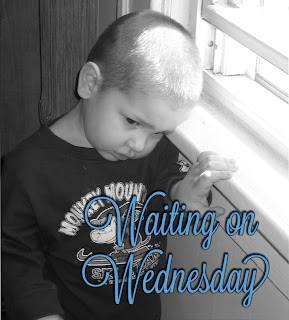 Waiting on Wednesday #5
