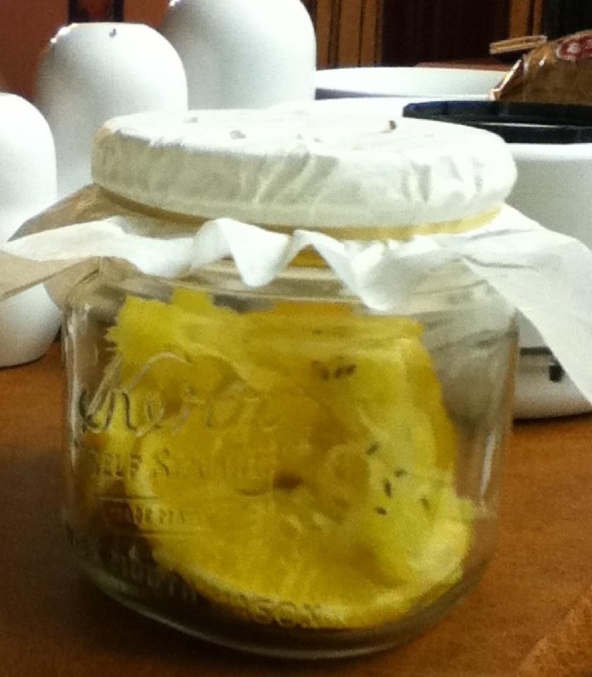 Krafting with Kathi Kraftyzales Fruit Fly Trap