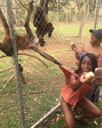 Selfie with a Monkey gone wrong Selfie with a Monkey gone wrong