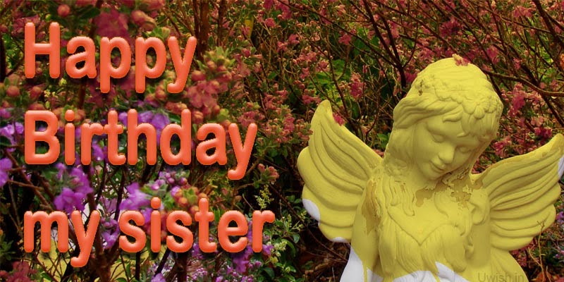 Happy Birthday to sister greetings and wishes with Angel and flowers.
